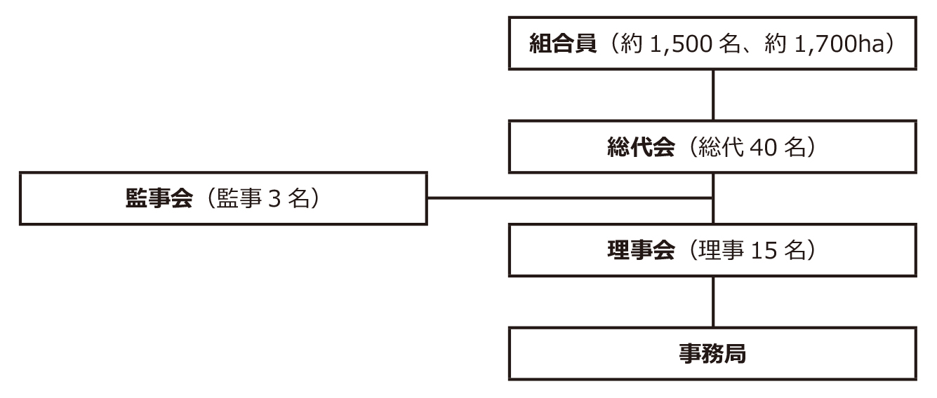 組織図